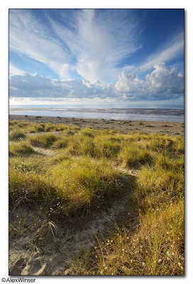 Littlehampton Dunes