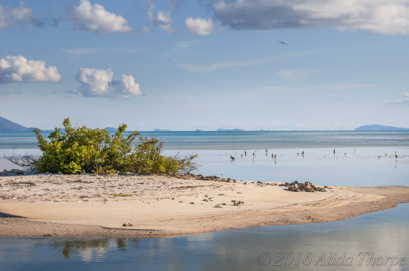 Caribbean Sandbar