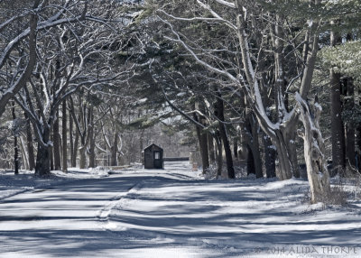 Connetquot State Park