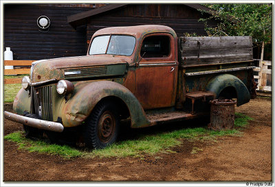 The rotting truck