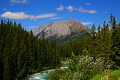 Maligne-Lake-Road1.jpg