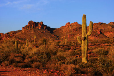 Superstition Wilderness