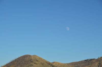 DSC_0083.JPG