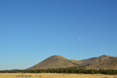 DSC_0084.JPG