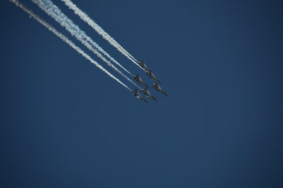 DSC_0172.JPG