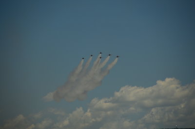DSC_0175.JPG