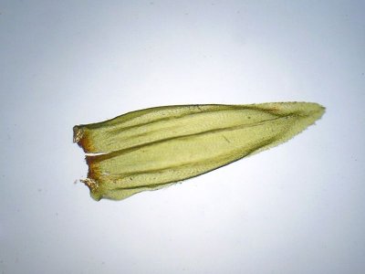 g9/65/620665/3/154706270.iOkOTYaY.jpg