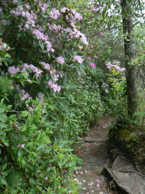 Climbing Table Rock NC [gallery]