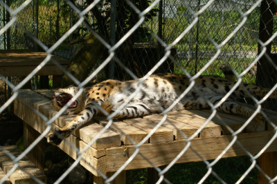 The Conservators' Center [gallery]
