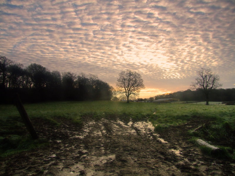 Approach  to  Hatchlands  Farm