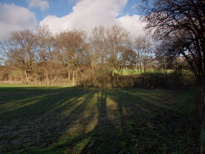 2014_0119greensandway