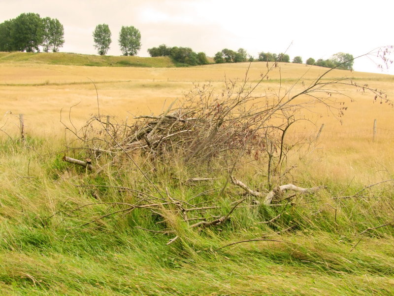 The  Cliffe  viewed, but  not  from  The  Undercliffe.