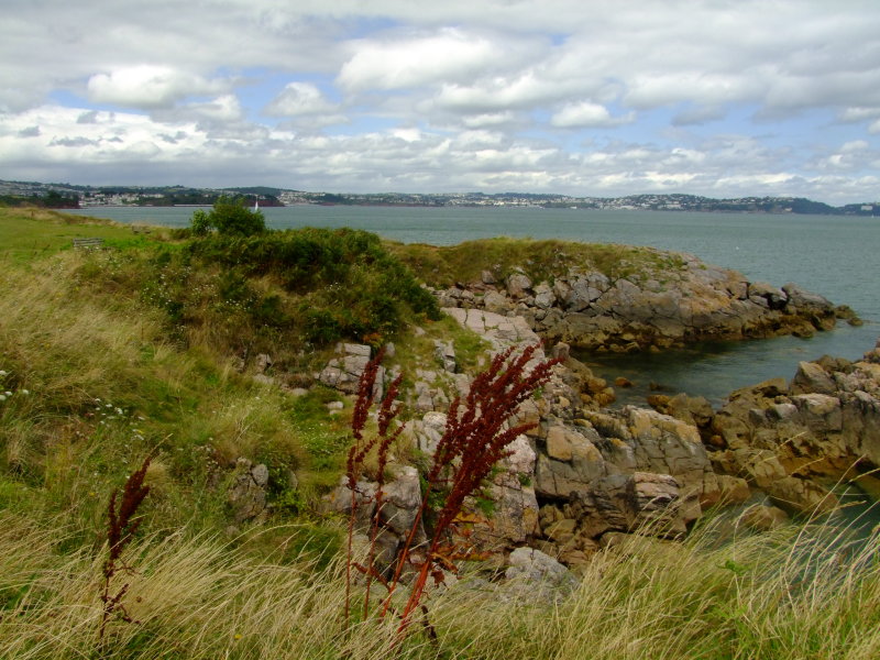 Looking  up  the  bay  to  Paignton.