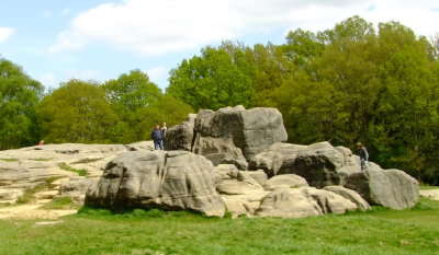 A  rocky  outcrop  on  the  Common.