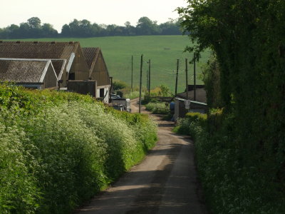 Little  Bayham  Farm