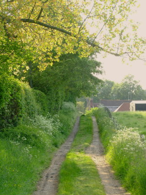 Approaching  Brenchley.