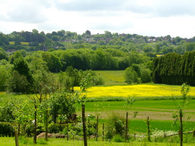 Goudhurst  from  Share  Farm.