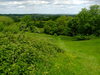 The  upper  part  of  the  climb  to  Goudhurst