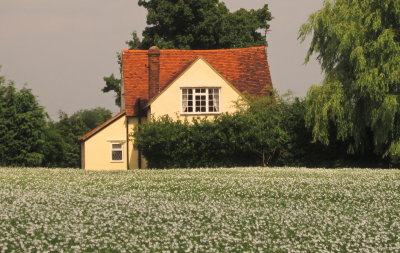 Cottage  on  Banks  Lane