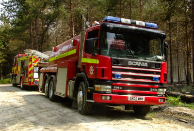 Elements  of  the local Fire Brigade on operations