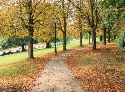 Autumn is just around the corner.
