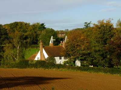 Tanhouse Farm with oasts, in trees.