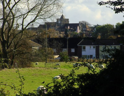 Rye  town  through  a  hole  in  a  hedge.