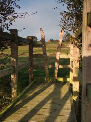 Looking  back  from  the  new  stile