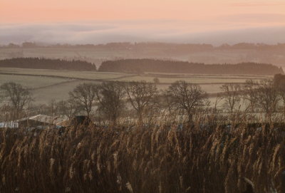 Dawn  over  Dumfriesshire.