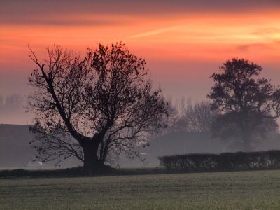 Silhouettes  in  a  misty  sunset.