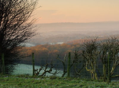 Looking  south  across  the  misty  Medway  Valley
