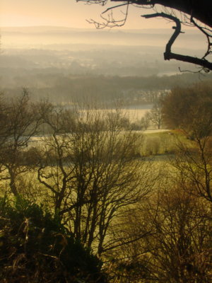 Looking  south  across  the  Medway  Valley