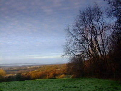 Medway  Valley  in  the  morning