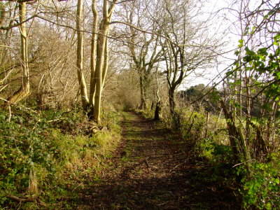 Greensand  Way  approaching  River  Hill
