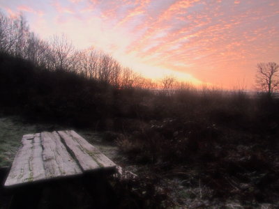 An  old  picnic  table  at  dawn