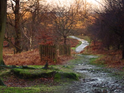 The  departure  from  Knole  Park.