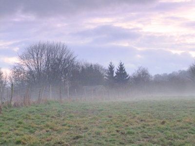 Morning  mist  by  Forge  Farm