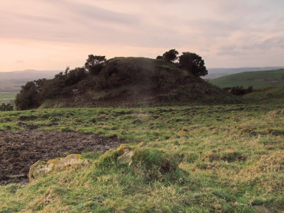 Rockhall  mote , looking  across  the  bailey  to  the  motte .