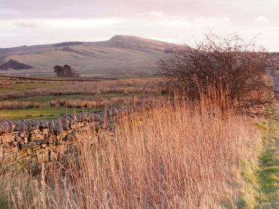 Winshield  Crags ,345m.high ,viewed  from  Haltwhistle  Common.