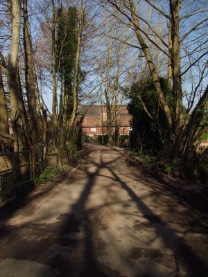Shadows in Mill Lane