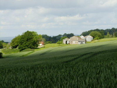 Buston  Manor  Farm.