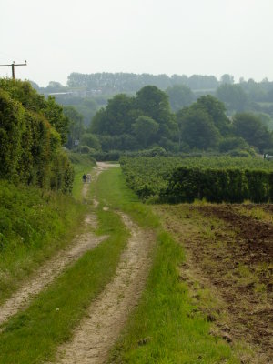 The  approach  to  Ulcombe  Place.