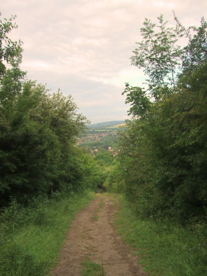 Looking  west  across  the  Darenth  Valley  at  Otford