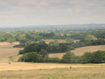 Looking  North  to  Elvey  Farm  and  beyond.