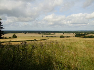 The  Weald  of  Kent