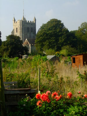 Church  Tower  from  the  Allotments.