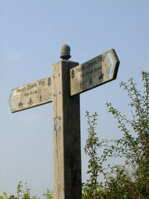 North  Downs  Way  signpost.