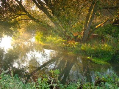 At  a  bend  in  the  river.