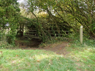 The  footbridge  in  the  bushes.