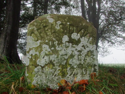 Offa's  Dyke  marker  stone.